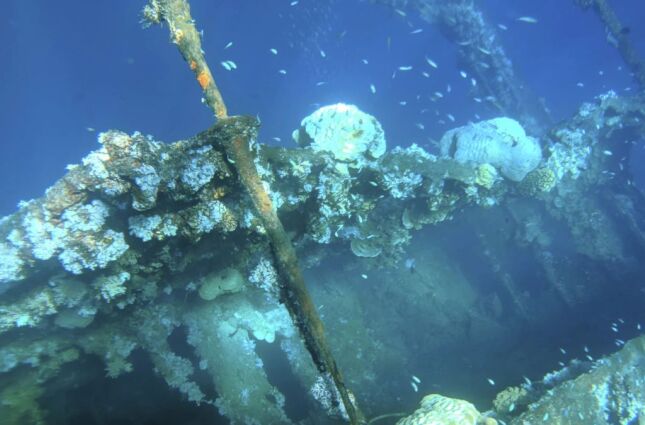 'Frota fantasma': o maior museu submerso do mundo est&aacute; sumindo e o motivo preocupa especialistas