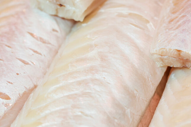 Bacalhau ou bagre disfarçado? Descubra se você está levando o verdadeiro pra casa