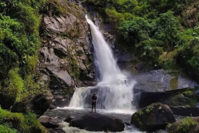 Com ligação entre RJ e SP, parque nacional conta com trilhas, montanhas e praias