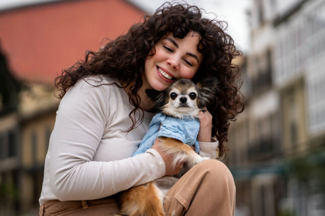 Conviver com cães pode reduzir estresse, ansiedade e até risco cardíaco; entenda