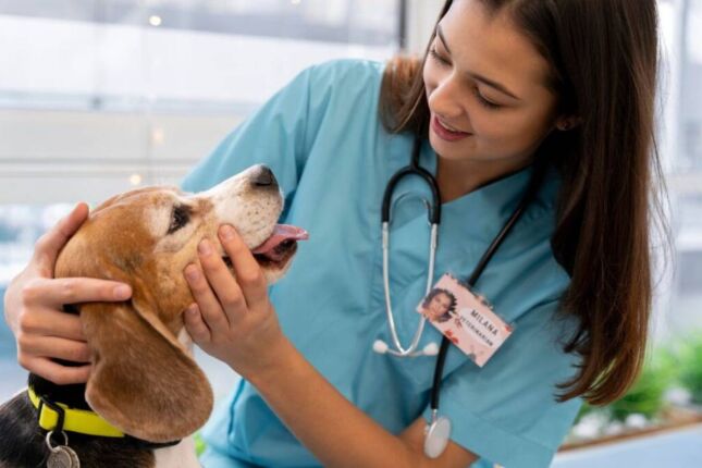 Cubatão: programas habitacionais garantem inclusão e bem-estar de animais de estimação