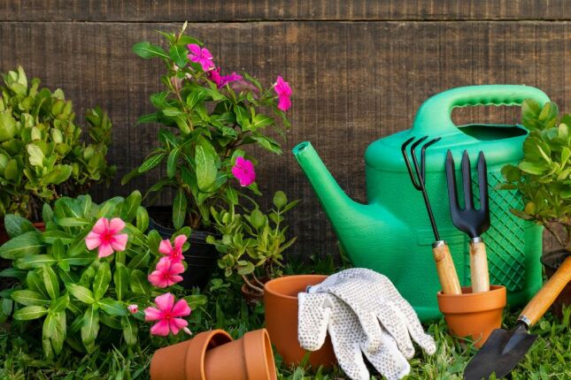 Essas plantas de jardim devem ser podadas em outubro para promover o crescimento 'máximo'