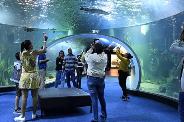 Maior aquário de água doce do mundo encanta com 450 espécies e 5 milhões de litros de vida
