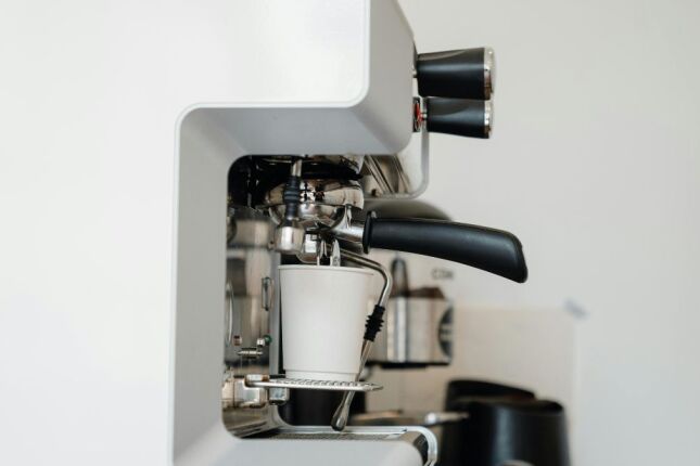 Pesquisadora adapta cafeteira em técnica científica voltada à descontaminação de peixes