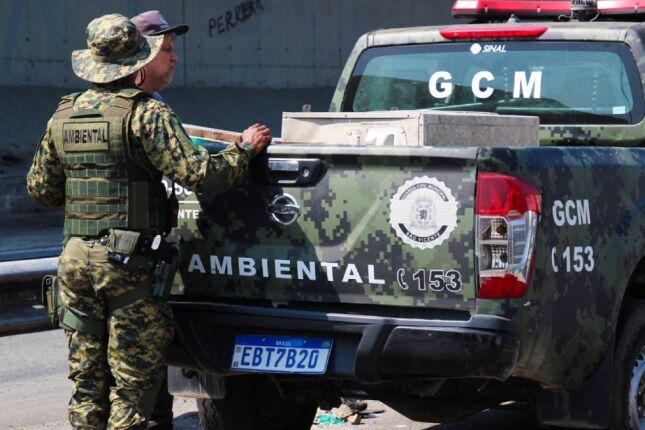 C&atilde;o da ra&ccedil;a rottweiler &eacute; encontrado sem vida ap&oacute;s maus-tratos em S&atilde;o Vicente; tutor &eacute; detido
