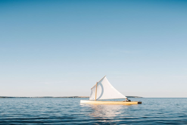 A jornada do casal que ficou 100 dias em alto-mar ap&oacute;s colidir com uma baleia