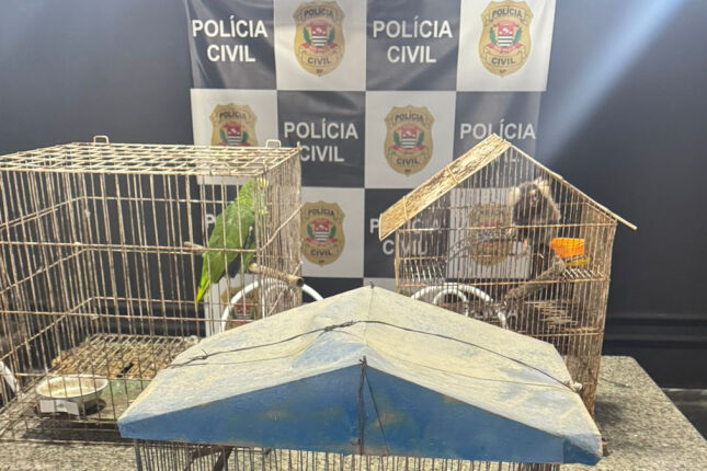 Flagrante no Guaruj&aacute;: Pol&iacute;cia encontra animais ex&oacute;ticos escondidos em resid&ecirc;ncia; V&Iacute;DEO