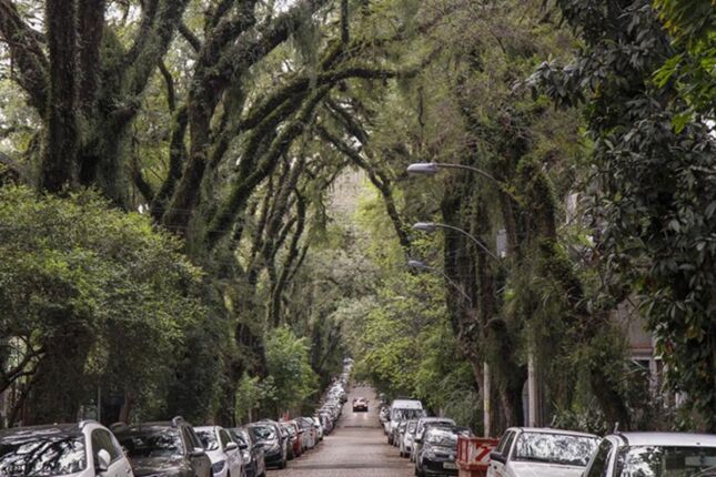 Conhe&ccedil;a a rua verde no Brasil que &eacute; famosa no mundo e parece ter sa&iacute;do de Hollywood