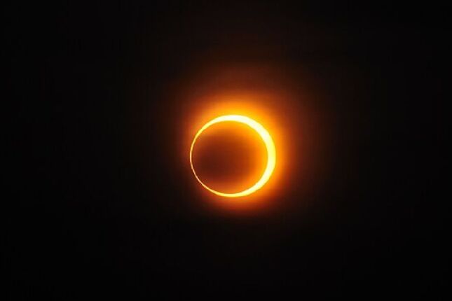 Estudo mostra como eclipse solar reorganiza sons e comportamentos no ecossistema