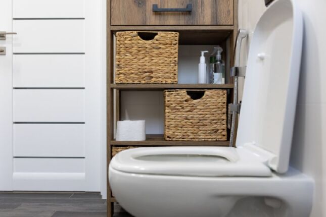 Voc&ecirc; sabe qual bot&atilde;o apertar na descarga dupla? Entenda a diferen&ccedil;a e evite desperd&iacute;cio de &aacute;gua