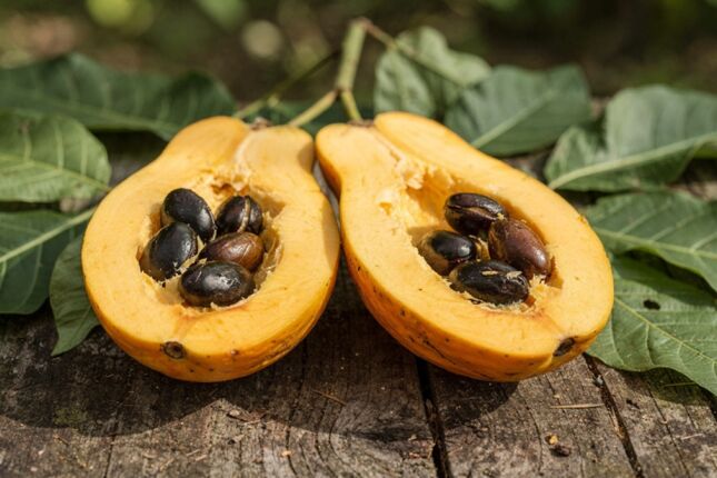 A fruta 'esquecida' que pode ter at&eacute; 10 vezes mais c&aacute;lcio e muito mais ferro que a ma&ccedil;&atilde;