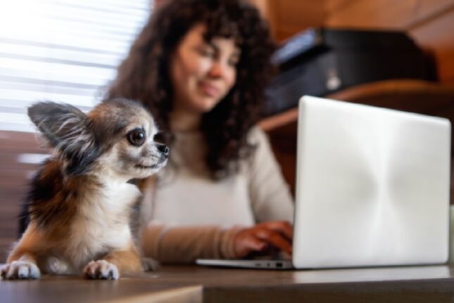 Novo imposto para pets pode pesar no bolso com taxa anual de R$ 602