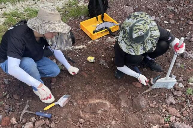 Nova esp&eacute;cie de dinossauro &eacute; descoberta e vira tributo a desenho animado