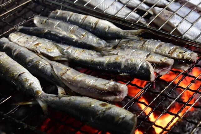 Sardinha j&aacute; ajudou em guerras e agora 'salvar&aacute;' o bolso no Mercado de Peixes de Santos a R$ 12,99