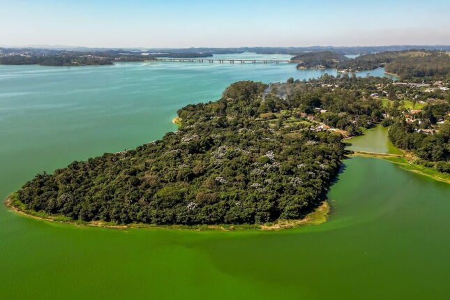 O segredo da Imigrantes: O que ningu&eacute;m te contou sobre o 'mar de &aacute;gua' na descida da serra
