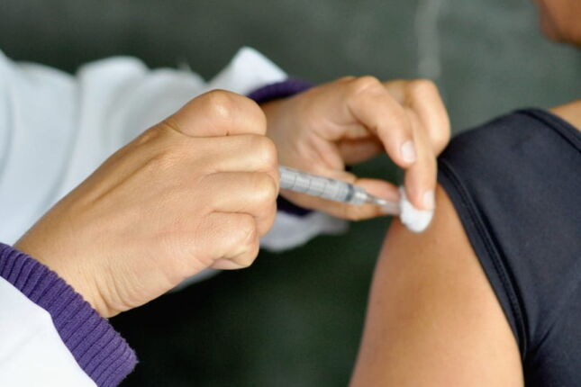 Sinal de alerta em SP: Febre amarela faz primeira v&iacute;tima de 2026 e detalhe sobre vacina preocupa