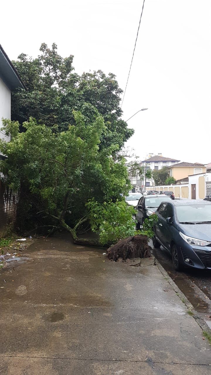 Rua João Carvalhal Filho