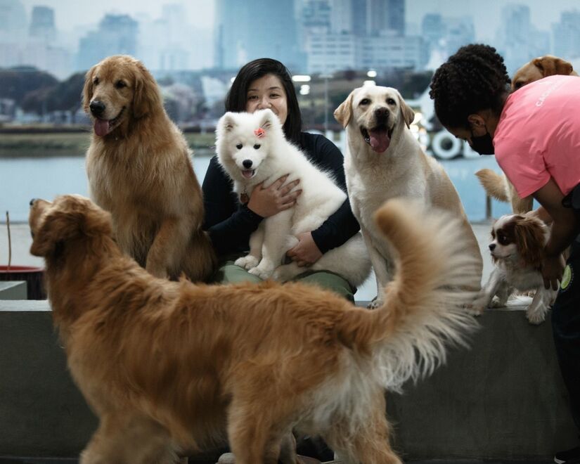 Karen Fujiwara, idealizadora do Cachorródromo, e seus clientes - Ettore Chiereguini/Gazeta de S.Paulo