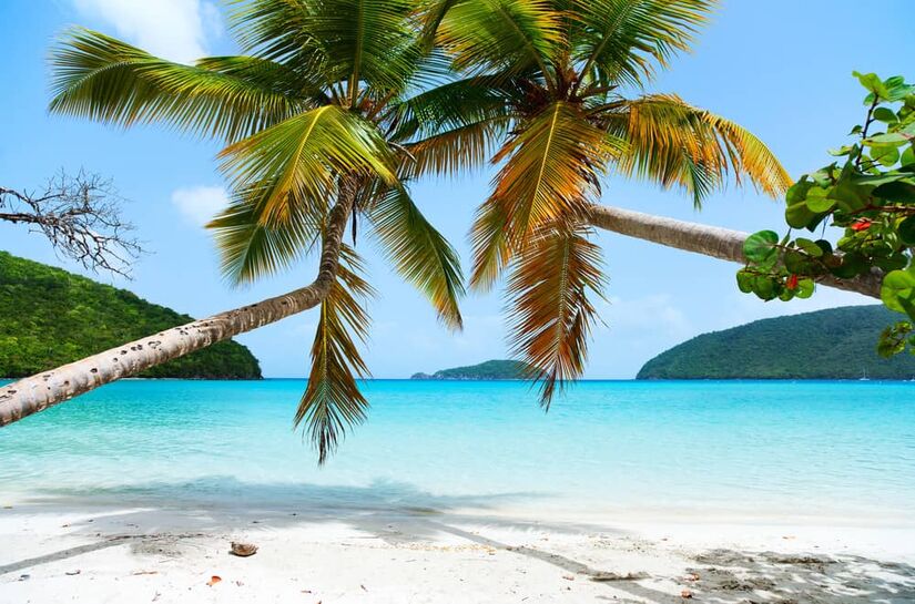 Maho Bay Beach - Cruz Bay, St. John (Reprodução)
