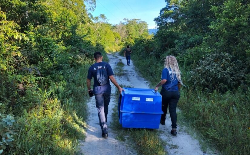 46 animais silvestres reabilitados foram soltos em Itanhaém (Foto: Divulgação/Gremar)