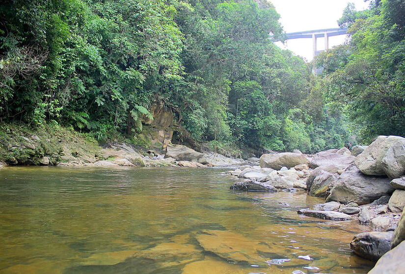 Foto: Rodrigo Montaldi/Arquivo DL