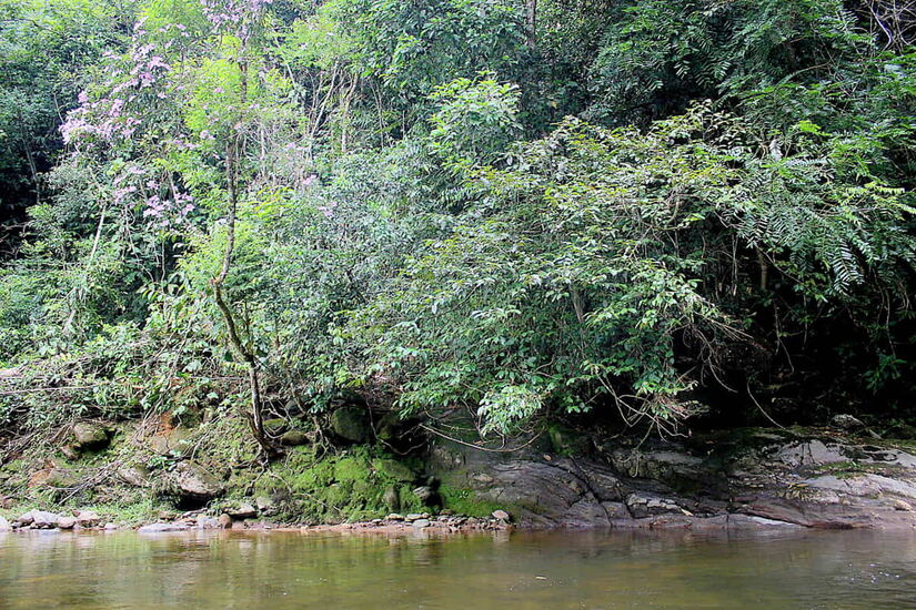 Foto: Rodrigo Montaldi/Arquivo DL