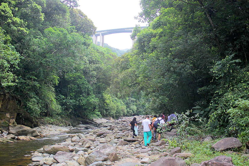 Foto: Rodrigo Montaldi/Arquivo DL
