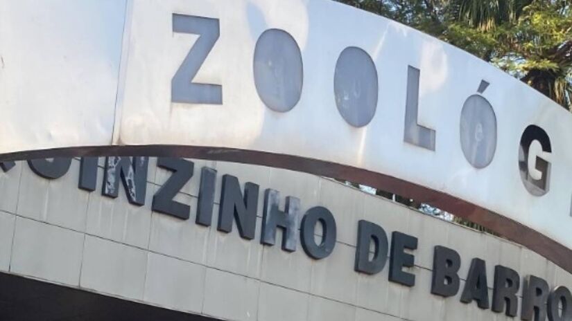 Parque Zoológico Municipal Quinzinho de Barros, Sorocaba, São Paulo / Reprodução/Instagram @Zoo_Sorocaba