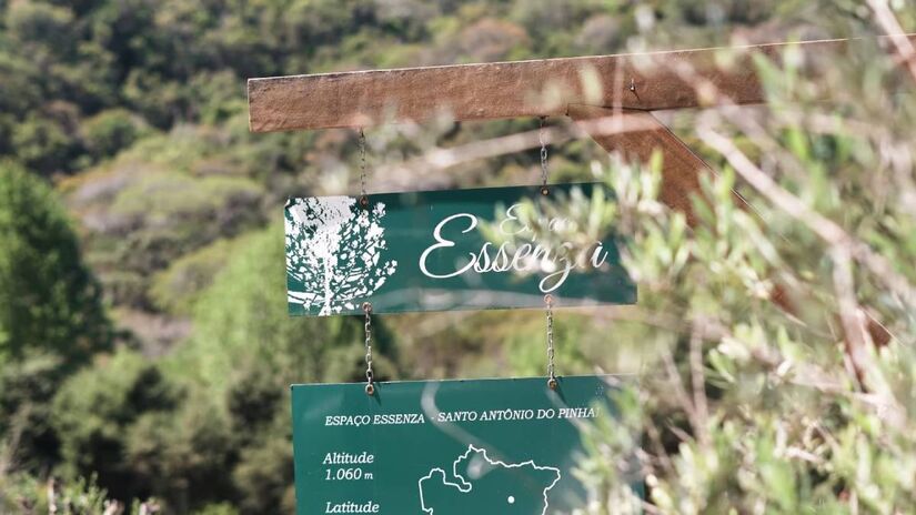 Vinicola Essenza, Santo Antônio do Pinhal, São Paulo / Divulgação/Site Espaço Essenza