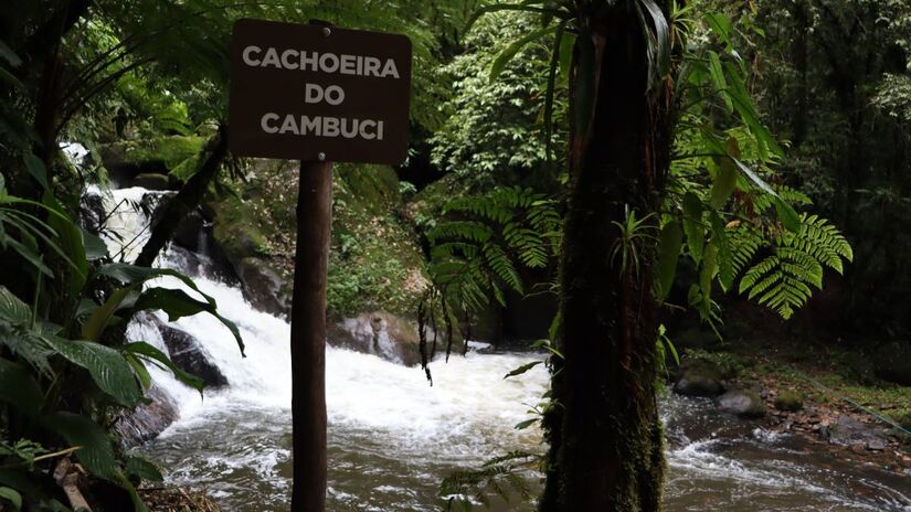 Tapiraí está localizada numa região paradisíaca em meio a uma das maiores reservas de mata atlântica tombadas do país / Divulgação/Prefeitura Municipal de Tapiraí