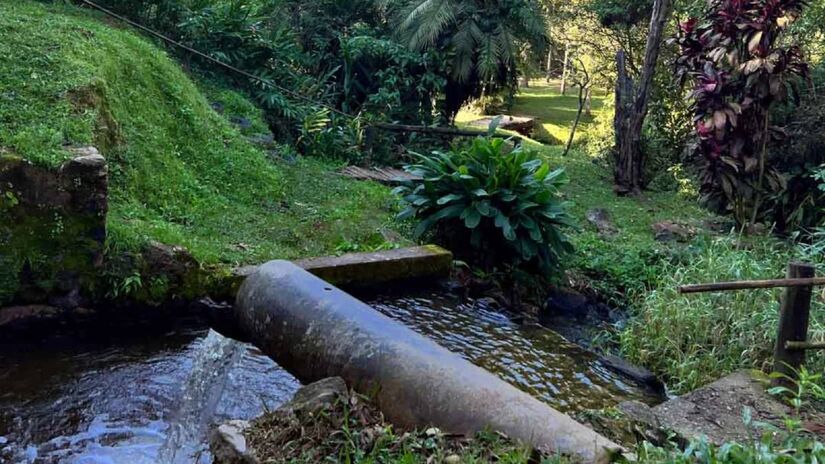 O Parque Estadual da Cantareira fica a menos de 30 km ao norte da capital / Divulgação/Floresta Cantareira