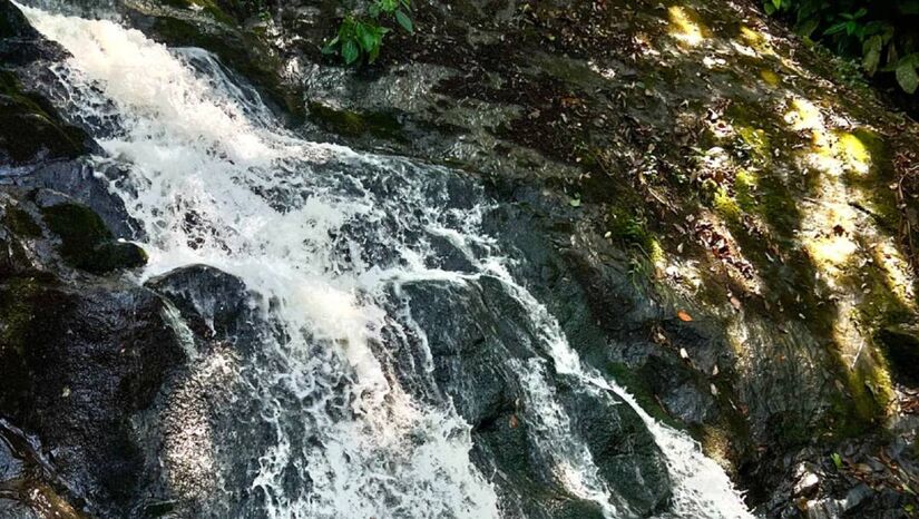 Para se refrescar, há opções como os núcleos Engordador e Cabuçu, onde ficam algumas cachoeiras / Divulgação/Floresta Cantareira