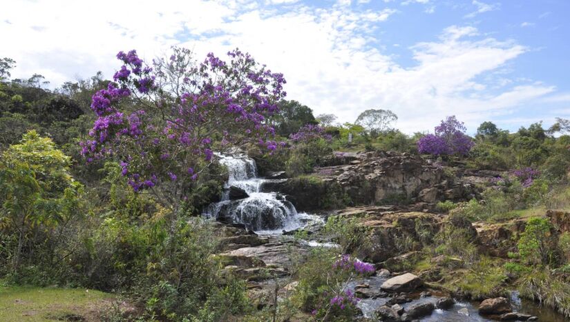 Suas cachoeiras mais famosas são a do Índio, do Viana, do Santo Antônio e a Cachoeira das 27 voltas / Divulgação/Instituto Chico Mendes Gov.br