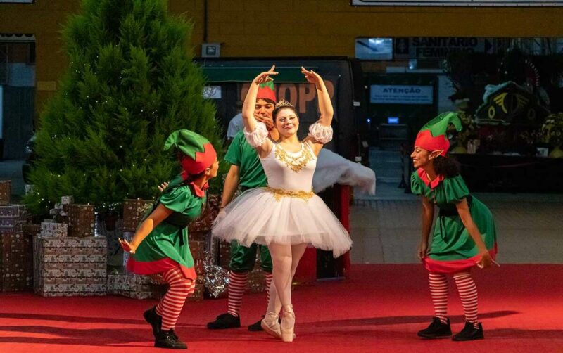 Entre as principais atrações estão a Parada de Natal, a Mostra Jardins em Festa e a emocionante Chuva de Neve / Divulgação