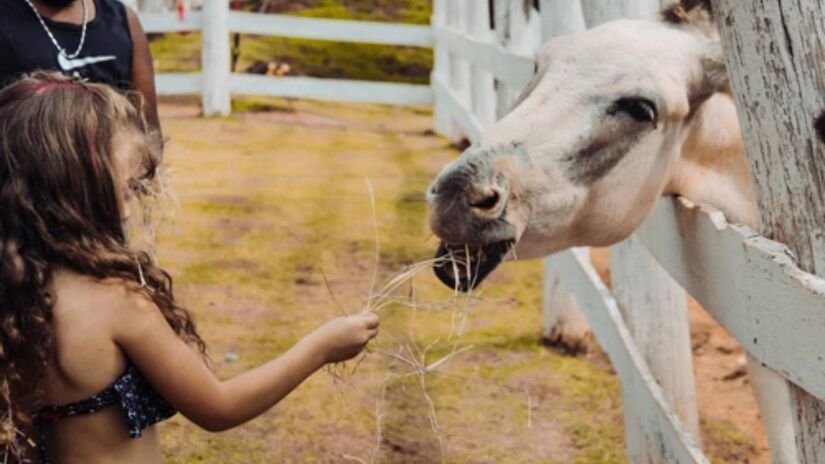 Passeios a cavalo proporcionam contato com animais / Divulgação/Parque Della Vittoria