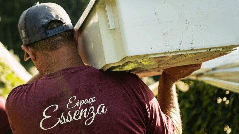 Vinicola Essenza, Santo Antônio do Pinhal, São Paulo / Divulgação/Site Espaço Essenza