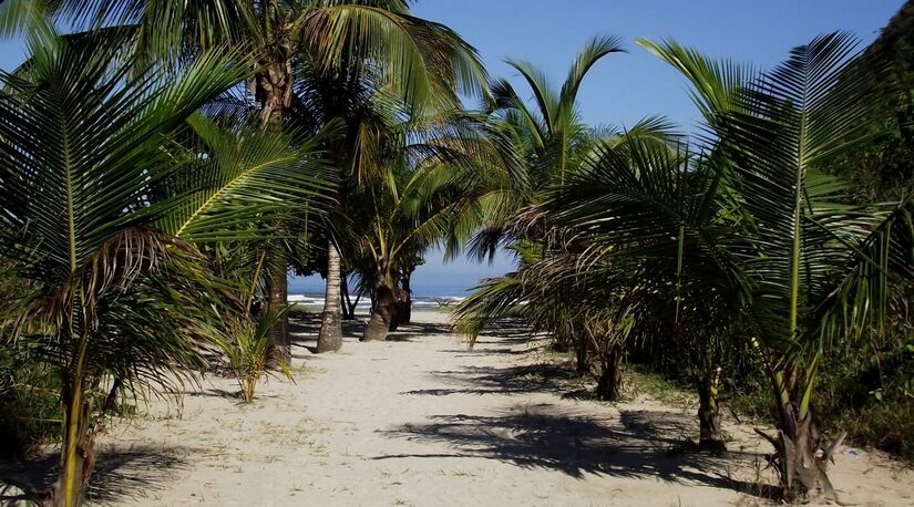 A praia Caramborê é perfeita para quem quer se isolar / Divulgação