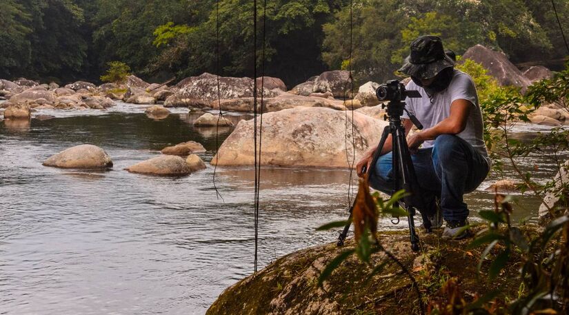 Local é muito procurado por visitantes que querem fotografar animais/PMB