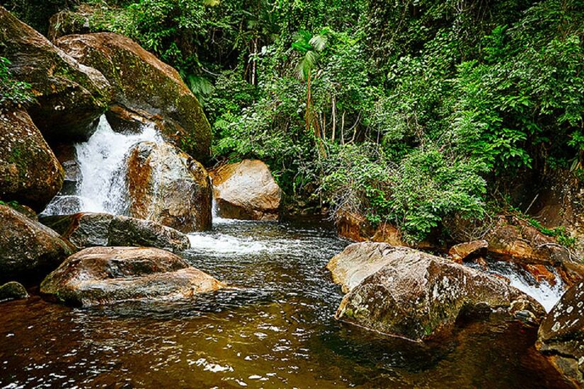 Parque Serra do Mar, Caraguatatuba (Foto: Divulgação)