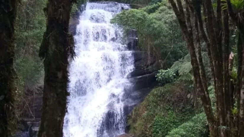 A Cachoeira Sete Quedas fica no coração da Serra da Bocaina / Divulgação/Estação Ecológica Bananal