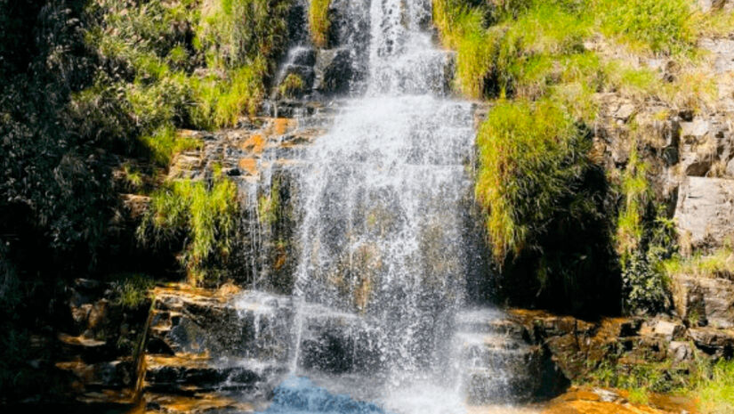 A vegetação típica do Cerrado abriga uma grande diversidade de fauna e flora / Divulgação/Prefeitura de Delfinópolis