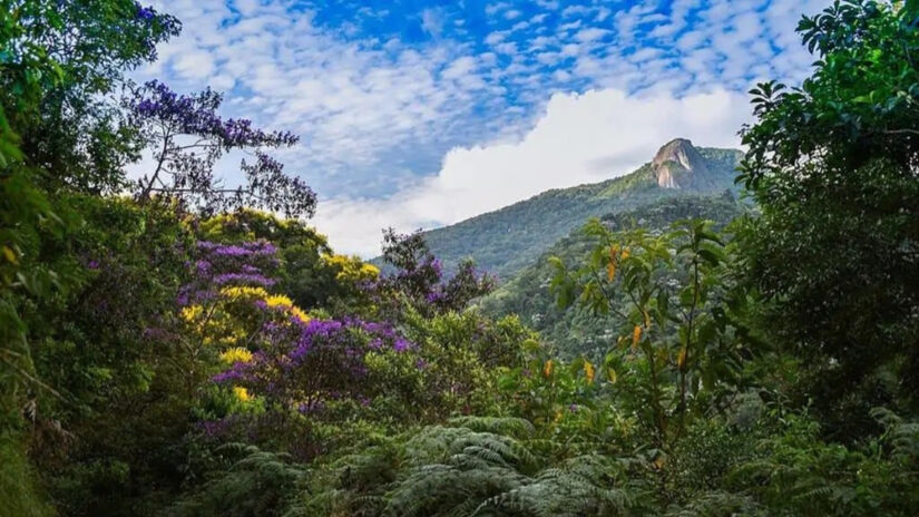 A região é cercada pela Serra da Mantiqueira / Divulgação