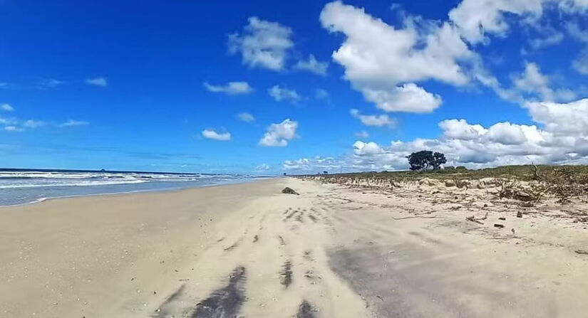 A praia fica no Núcleo Marujá e é a mais extensa da Ilha do Cardoso  / Divulgação