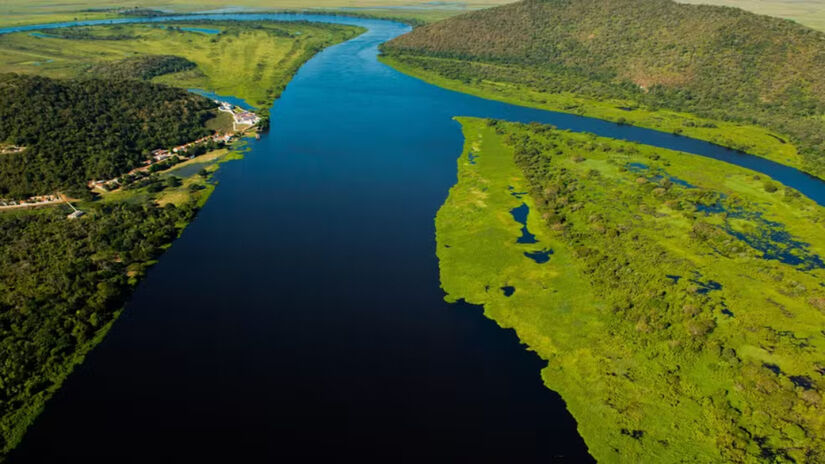 O Pantanal é um dos biomas mais biodiversos do Brasil e a maior planície alagável do mundo / Divulgação