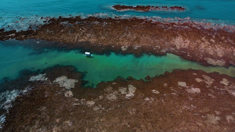 As Galés de Maragogi, piscinas naturais a alguns quilômetros da costa, impressionam com águas transparentes / Divulgação/Prefeitura de Maragogi