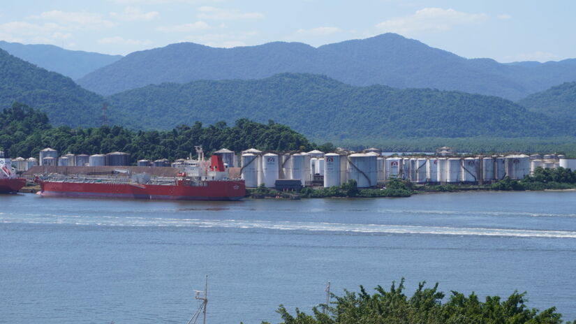 Já na Ilha Barnabé, localizada na região do Porto de Santos, foram 36.300 partículas de microplásticos detectadas / Renan Lousada/DL