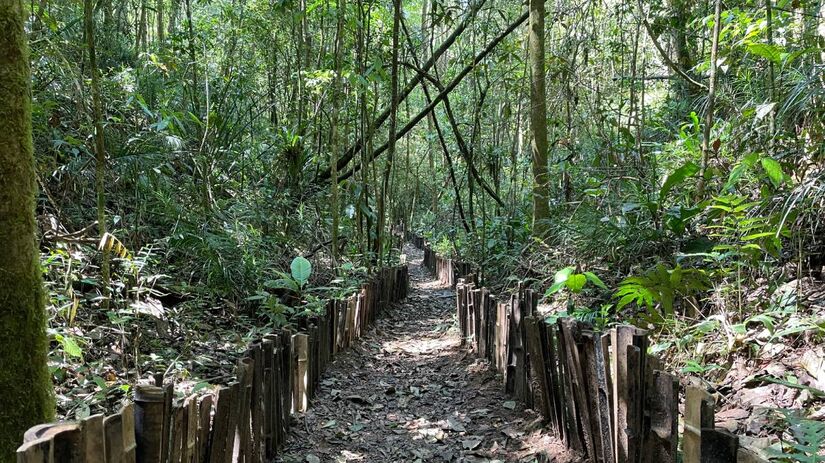 Os participantes podem explorar parques como Jaceguava, Itaim, Varginha e Bororé / Divulgação/PMSP