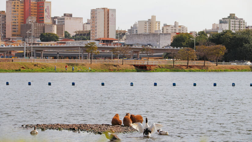 Rio Preto busca equilibrar desenvolvimento urbano e proteção dos recursos naturais / Divulgação/PMSJRP