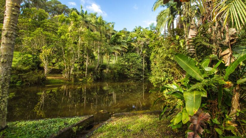 O projeto inclui trilhas em parques naturais municipais (PNMs) / Divulgação/PMSP