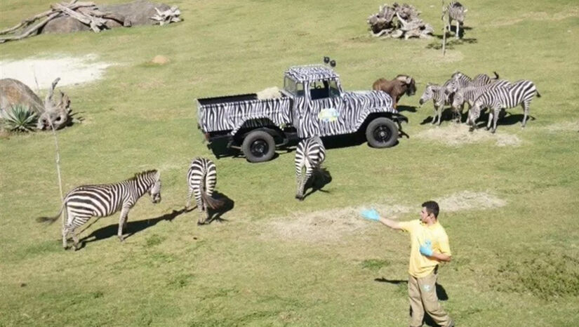 Além da diversão, o parque também tem foco na preservação ambiental / Divulgação